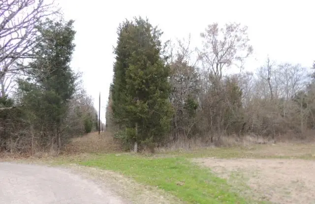 TBD County Road 4455, Point, TX 75472 - Image #3