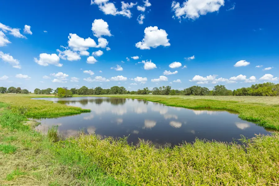 31 Acres Texas Highway 19 S, Brashear, TX 75420 - Image #2