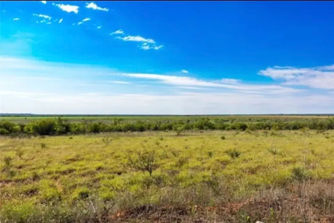 4 County Road 463, Anson, TX 79525 - Image #1