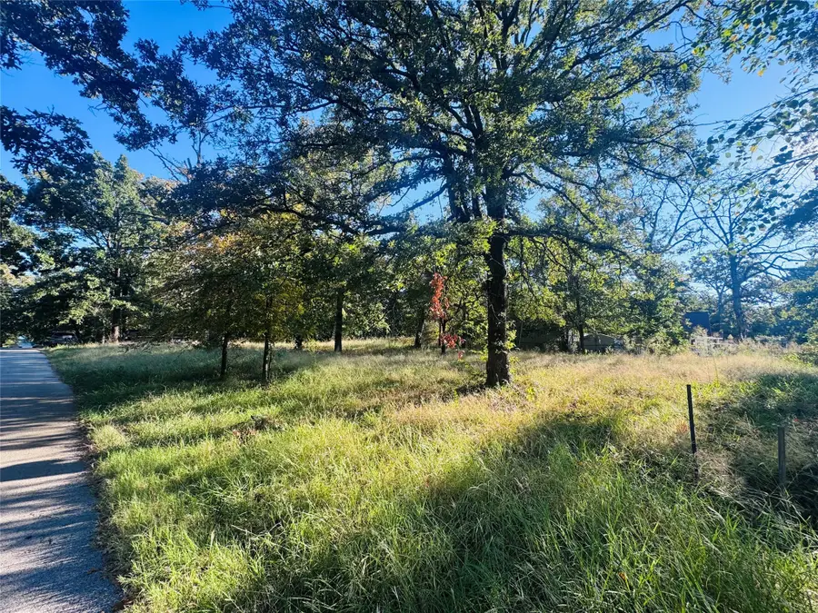 917 Hidden Valley Drive, Tool, TX 75143 - Image #2