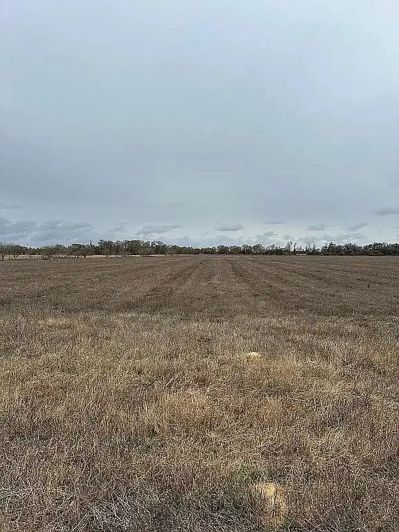 0 An County Road 117, Elkhart, TX 75839 - Image #3