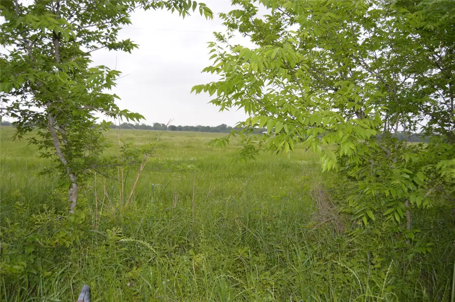 TBD Lot 2 Rs County Road 1520, Point, TX 75472 - Image #2