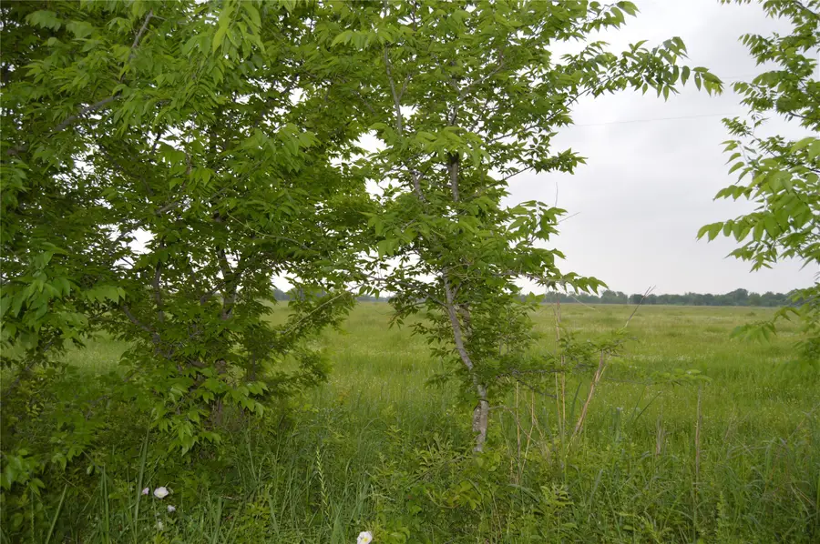 TBD Lot 2 Rs County Road 1520, Point, TX 75472 - Image #3