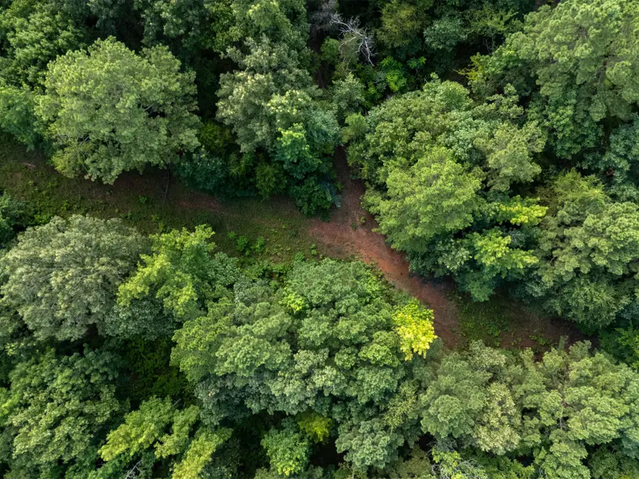 0 Ginger Road, Gilmer, TX 75644 - Image #3