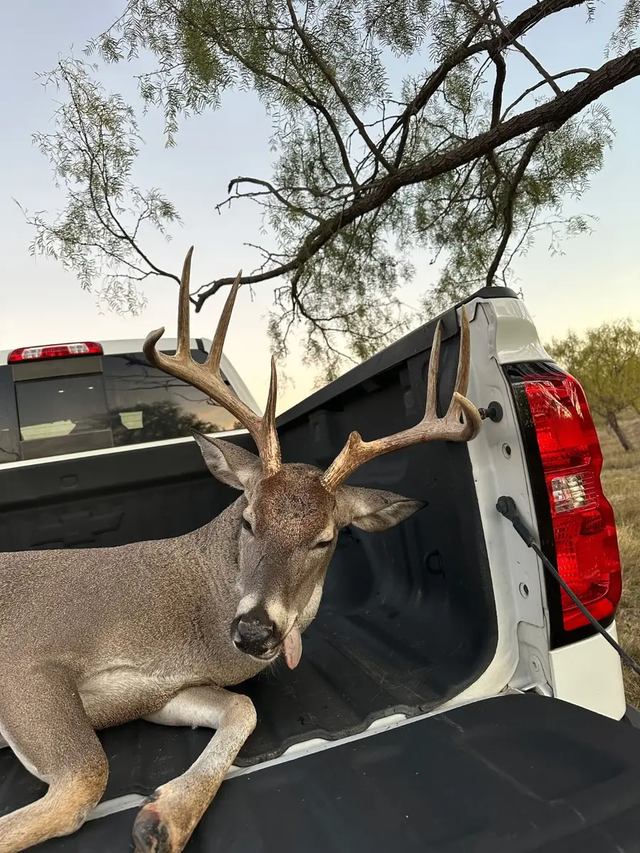 6525 E 180, Anson, TX 75901 - Image #2