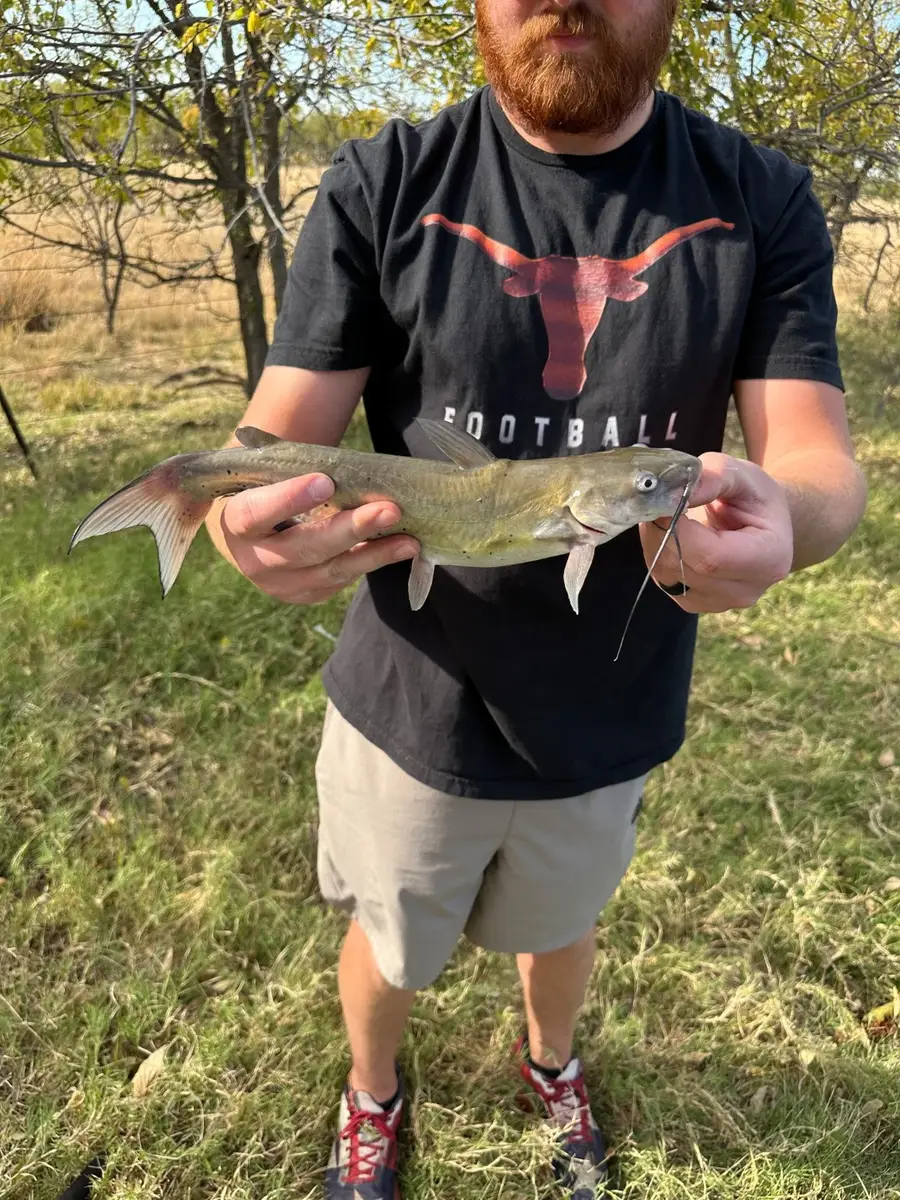 6525 E 180, Anson, TX 75901 - Image #3