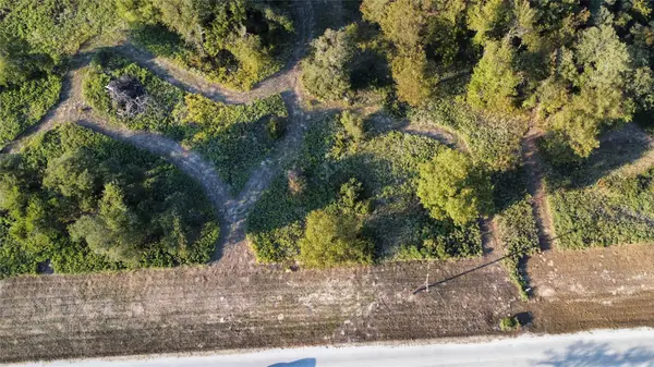 TBD Muy Grande Road, Nocona, TX 76255