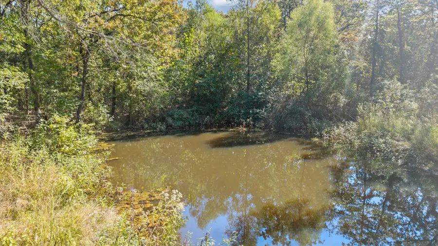 2022 Vz County Road 1514, Grand Saline, TX 75140 - Image #3