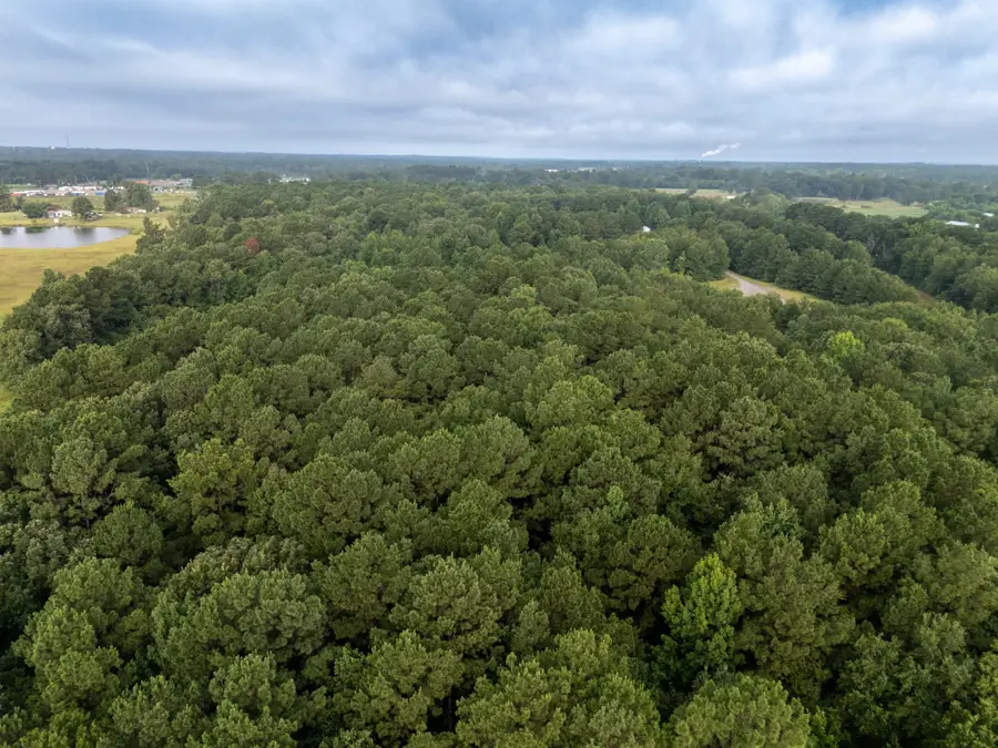 00 Cr 301, Carthage, TX 75633 - Image #3