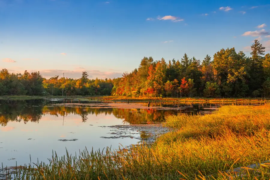 0 Cr-3411, Chandler, TX 75758 - Image #2