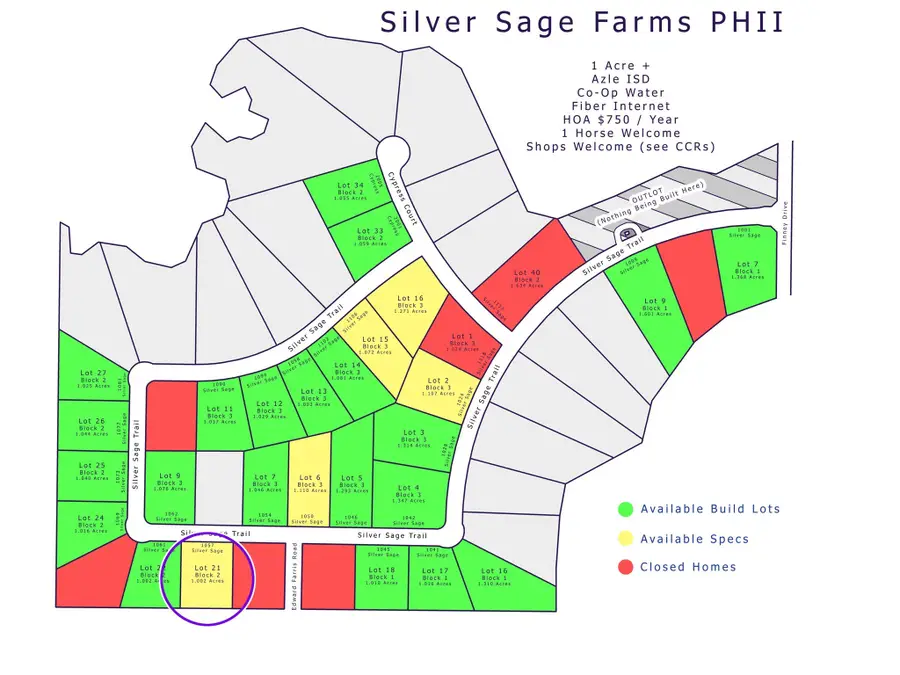 1057 Silver Sage Trail, Weatherford, TX 76085 - Image #3