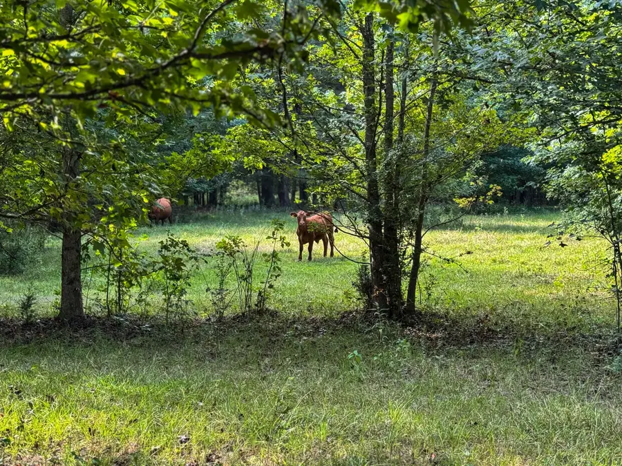 00 Hwy 49, Jefferson, TX 75657 - Image #2