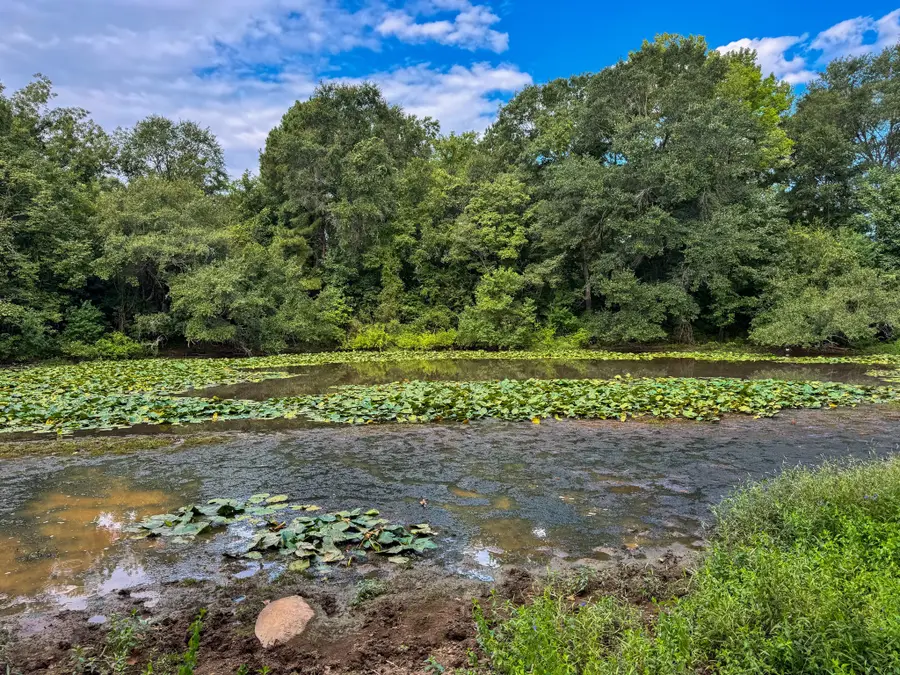 00 Hwy 49, Jefferson, TX 75657 - Image #3