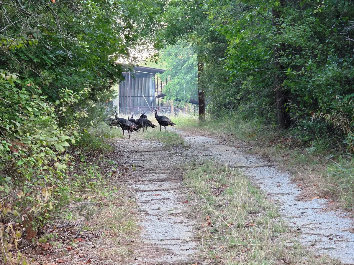 1811 Highway 570, Eastland, TX 76448 - Image #1