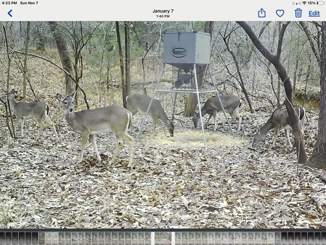 37100 County, Sumner, TX 75486 - Image #1