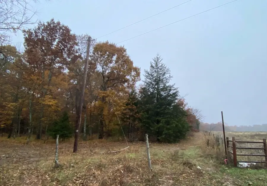 37100 County, Sumner, TX 75486 - Image #2