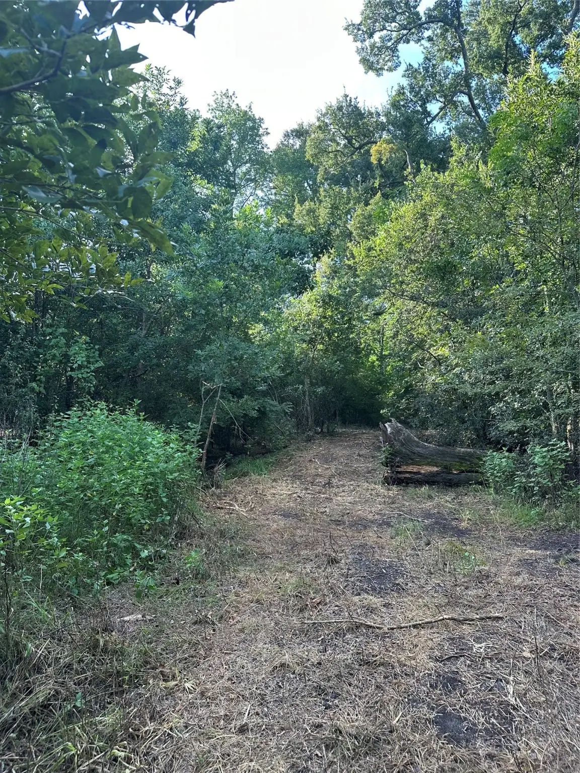 TBD Fm 1245 W, Groesbeck, TX 76642 - Image #1