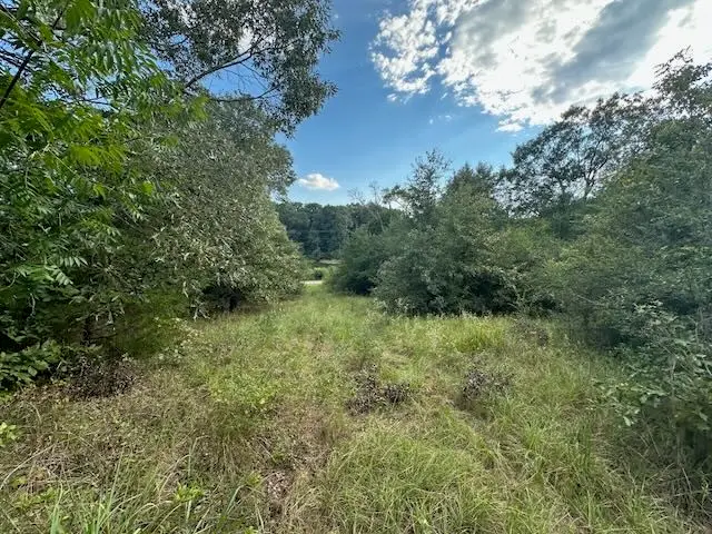 TBD Vz Cr 1823, Grand Saline, TX 75140 - Image #3