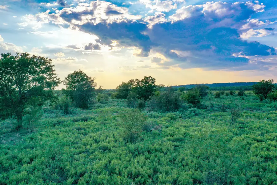 99.97 Acres S 281 Highway, Perrin, TX 76486 - Image #3