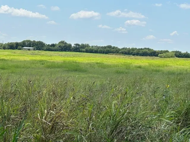 10328 B County Road 418, Grandview, TX 76050 - Image #2