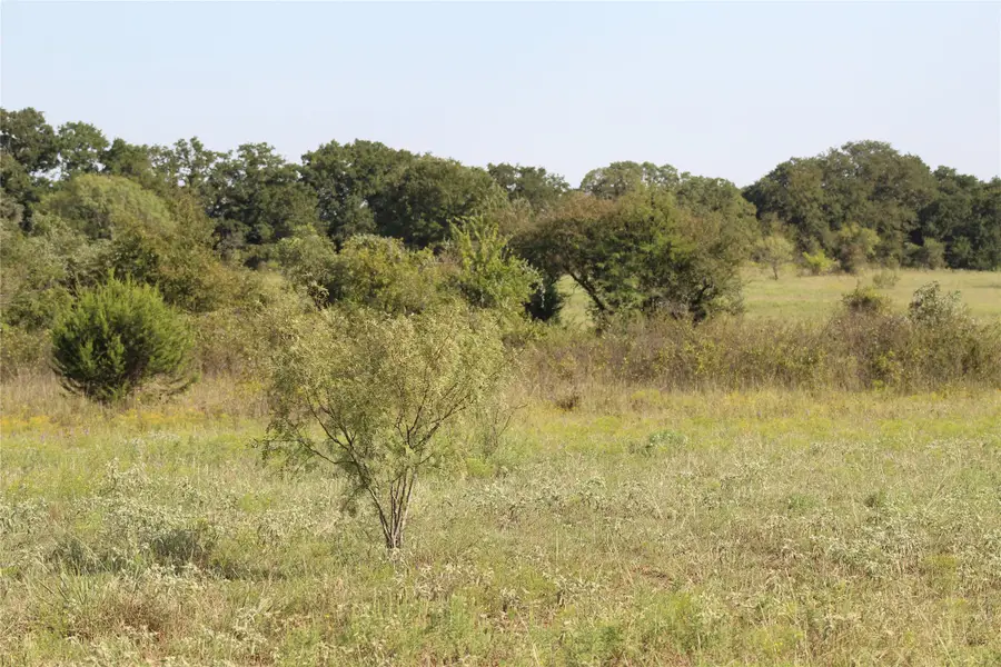 1179 B Cr 1470 Road, Chico, TX 76431 - Image #3