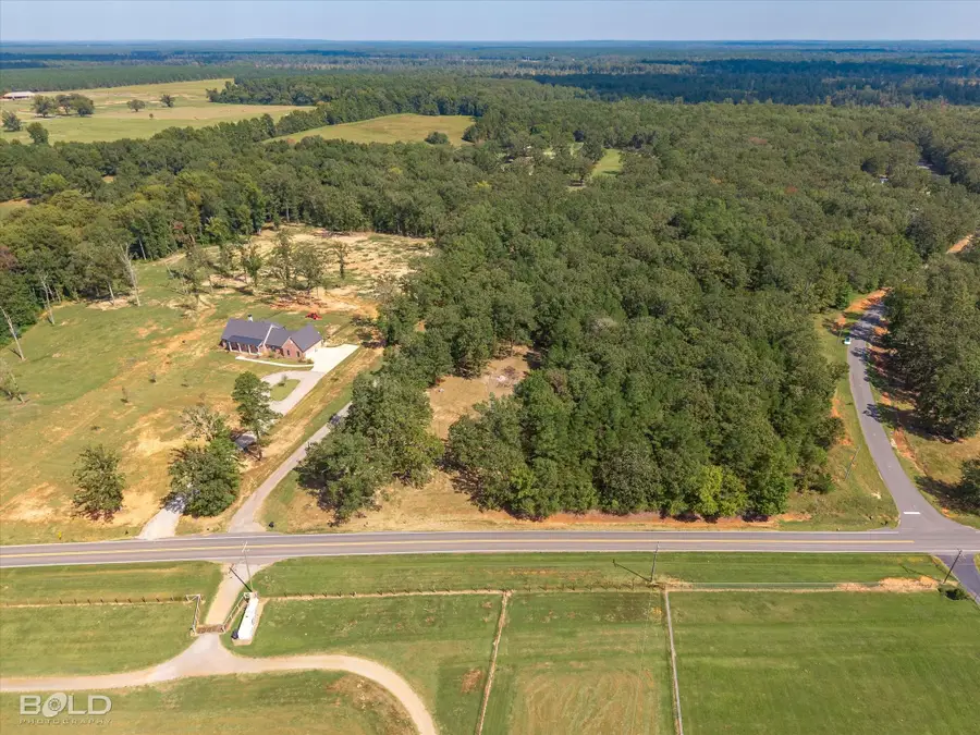 1228 Old Plain Dealing Road, Benton, LA 71006 - #3