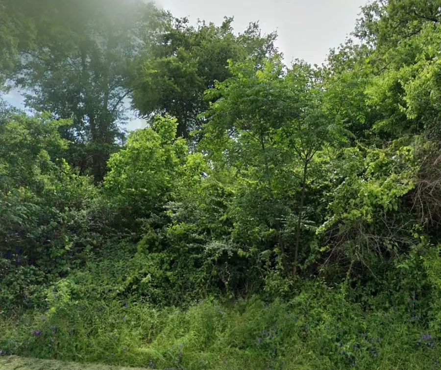 0 Cherry, Jacksonville, TX 75766 - Image #3