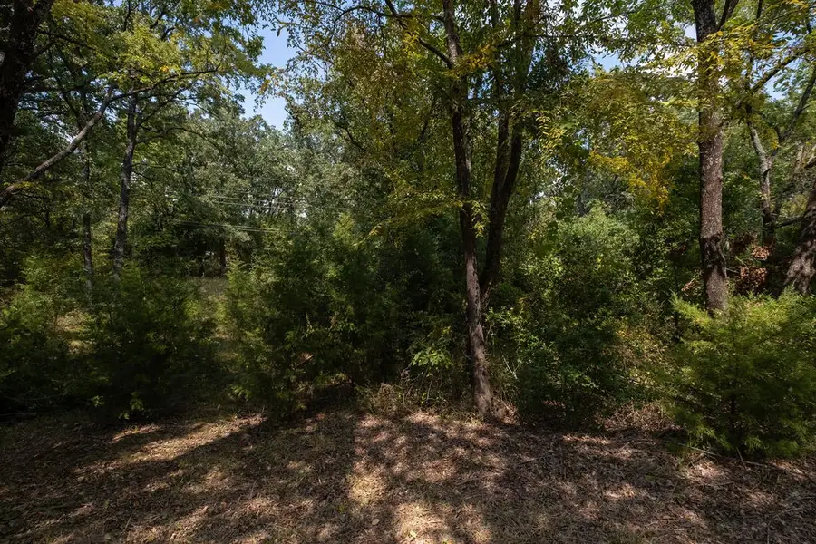 6132 Tejas Drive, Mabank, TX 75156 - Image #2
