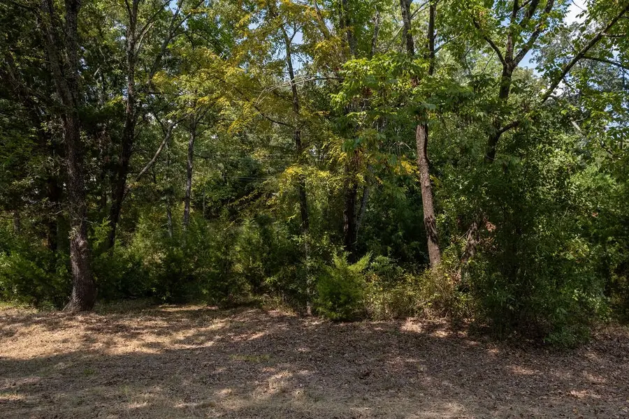 6132 Tejas Drive, Mabank, TX 75156 - Image #3