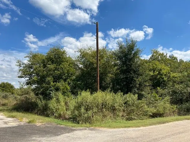 22124 Greenbriar Drive, Whitney, TX 76692 - Image #1