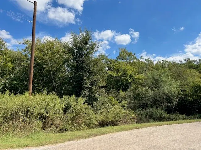 22124 Greenbriar Drive, Whitney, TX 76692 - Image #3