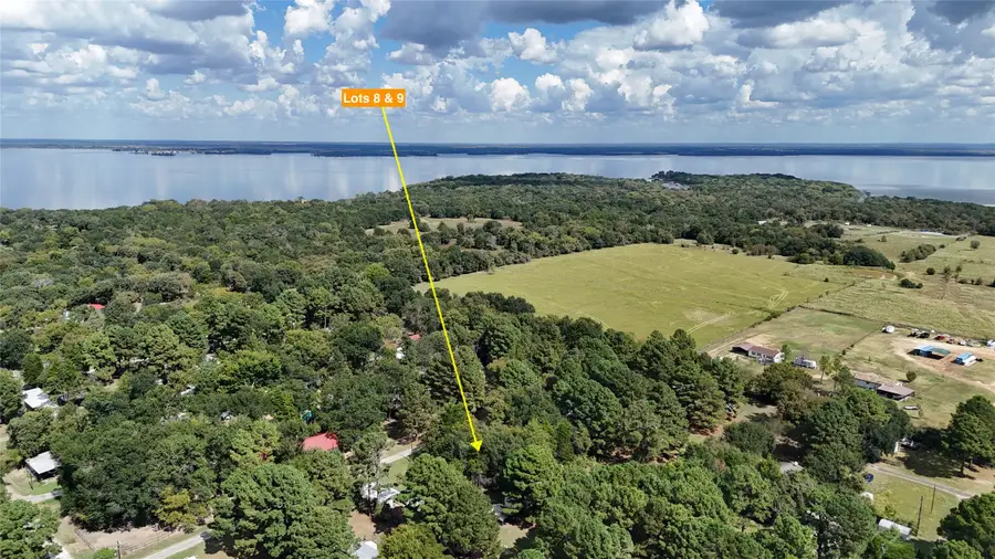 180 Cedar Drive, Streetman, TX 75859 - Image #3