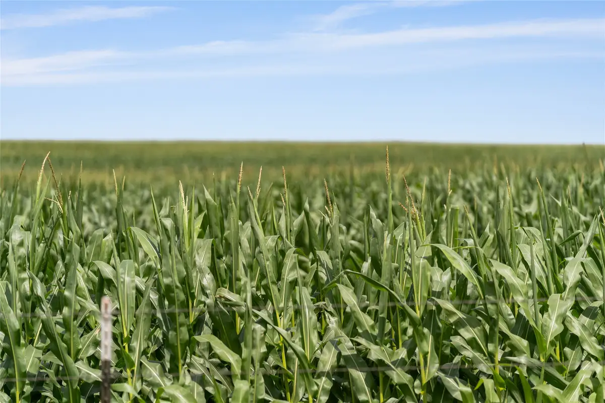 13661 Siler Road, Moody, TX 76557 - Image #1