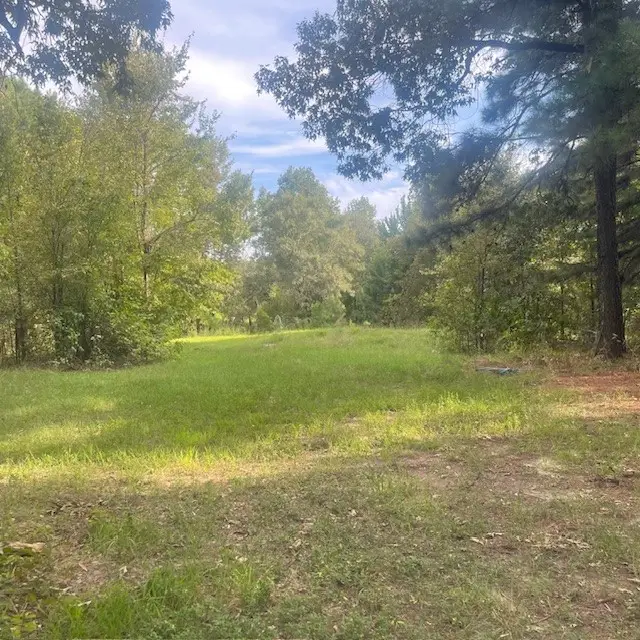 205 County Road 2880, Mineola, TX 75773 - Image #2