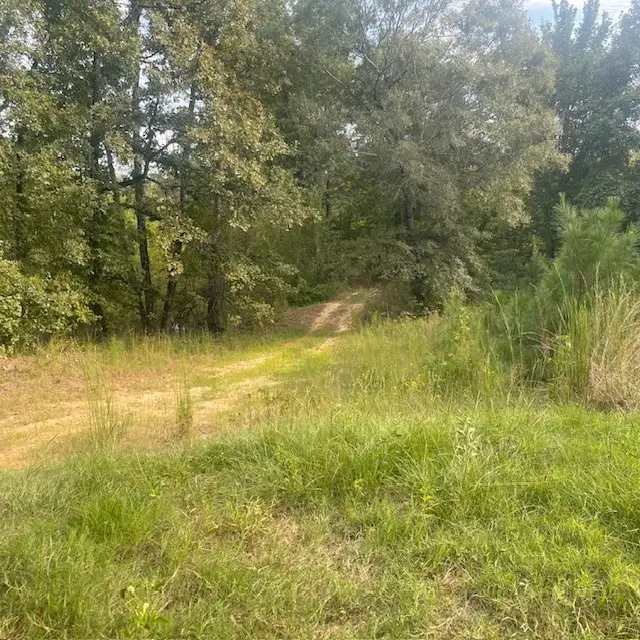 205 County Road 2880, Mineola, TX 75773 - Image #3