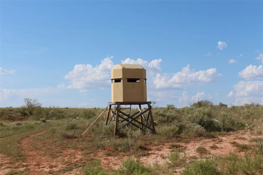 TBD 800 Acres, Memphis, TX 79245 - Image #2