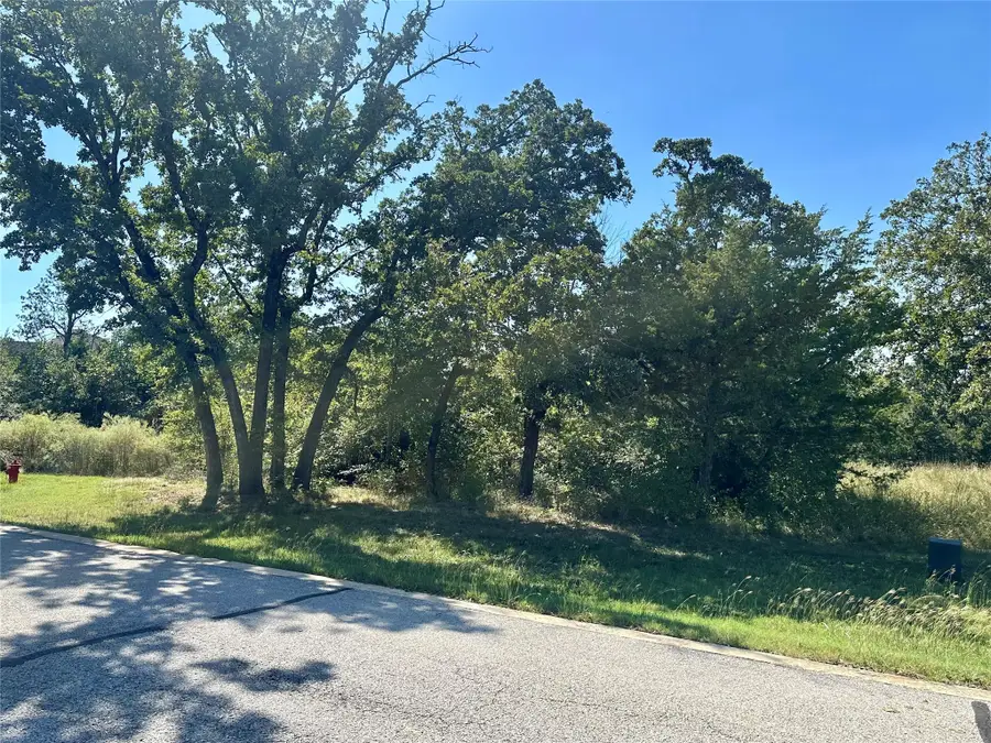 197 Palmilla Drive, Gordonville, TX 76245 - Image #2
