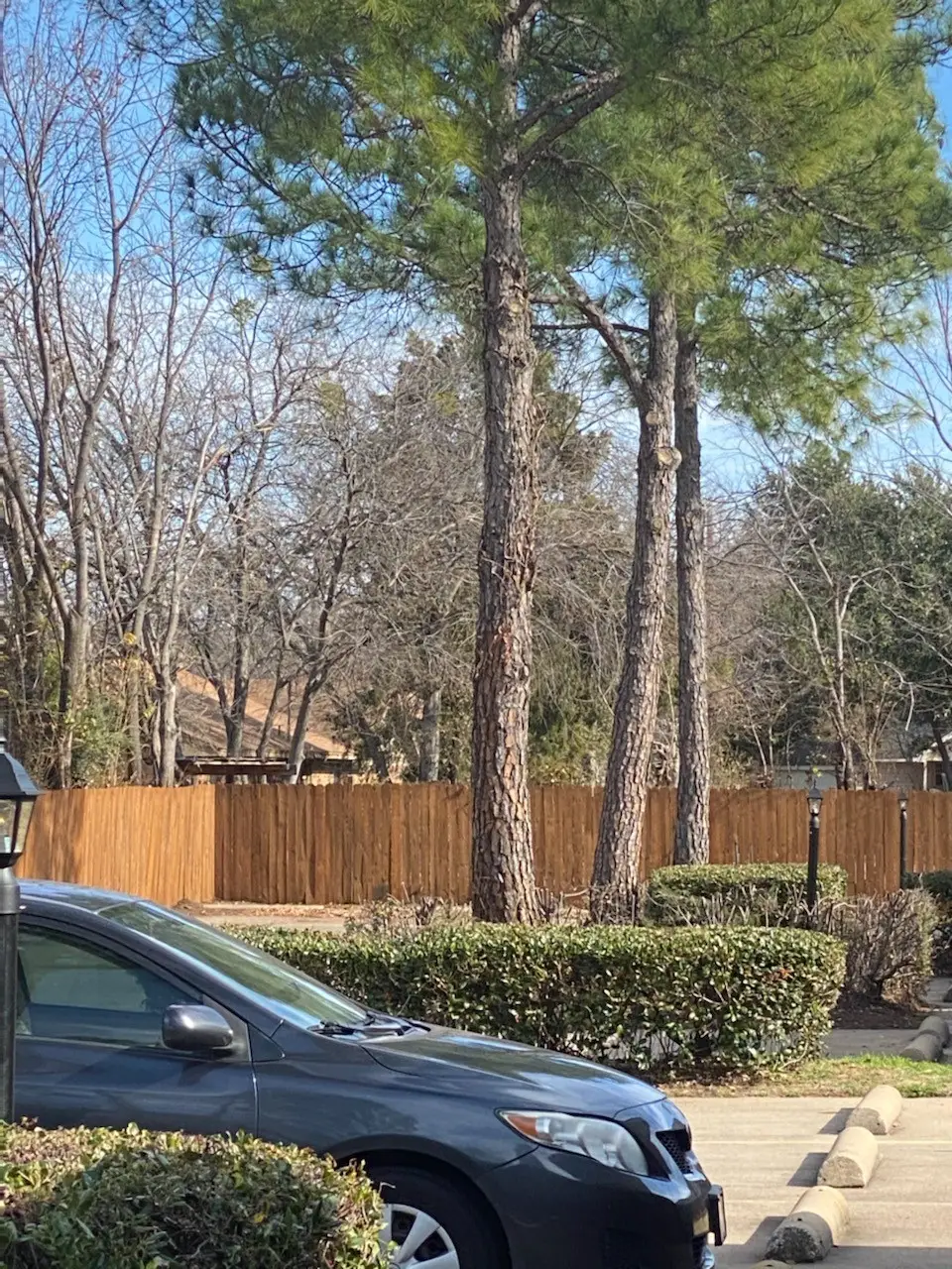 1126 Brady Drive, Irving, TX 75061 - Image #1