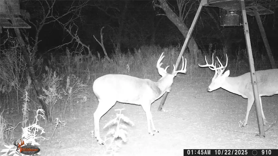 000000 Cr 267, Early, TX 76802 - Image #3