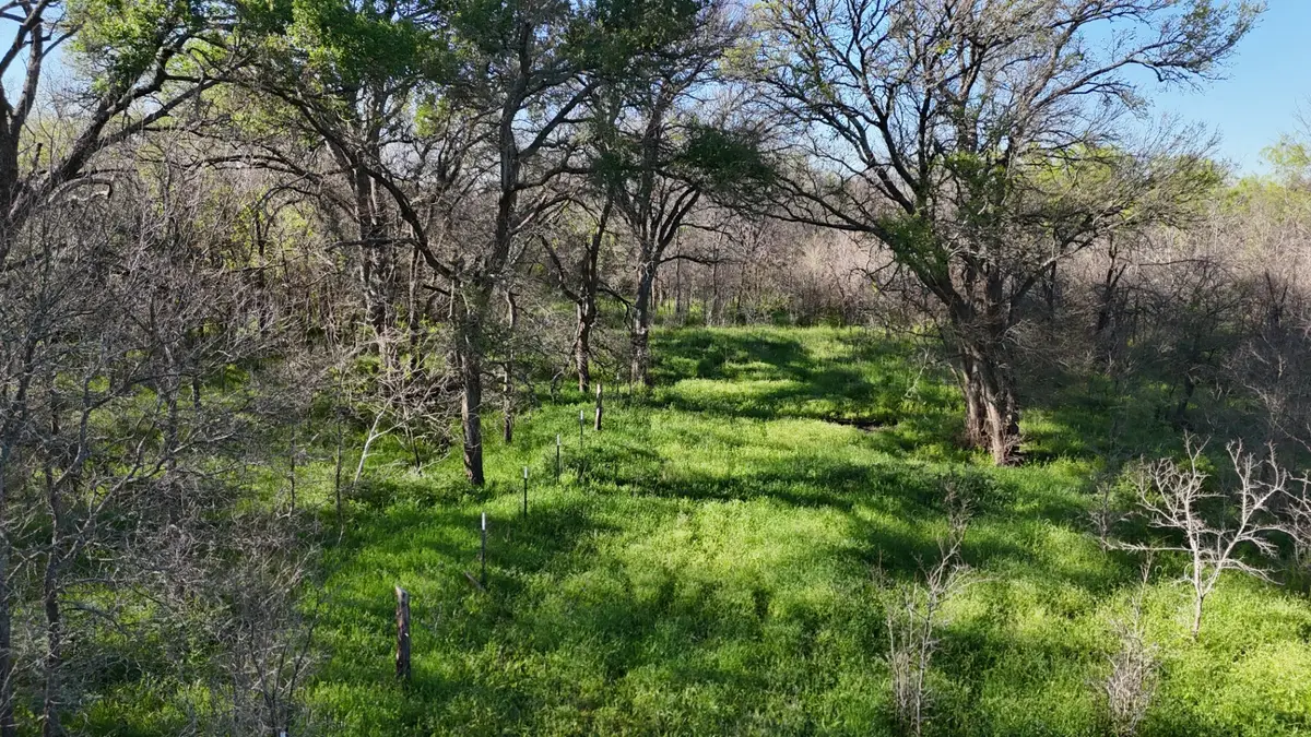 1127 Limestone County Road 607, Groesbeck, TX 76642 - #1