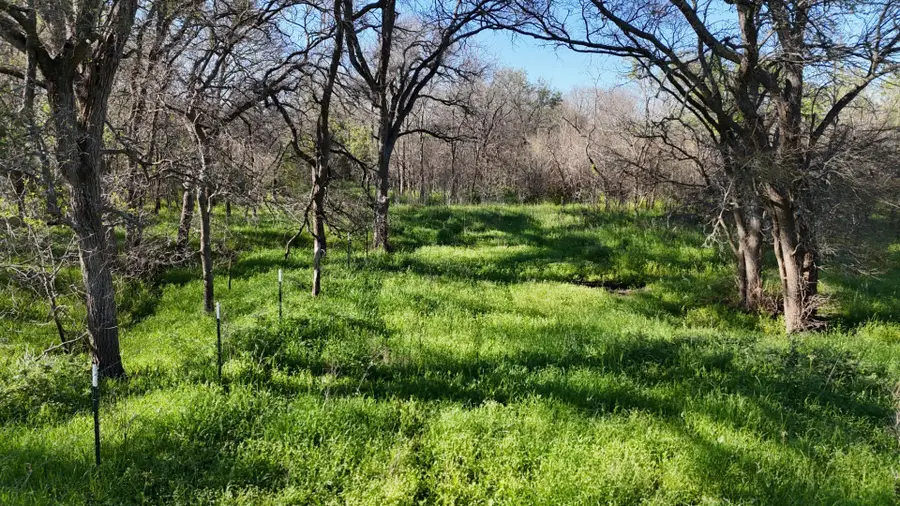 1127 Limestone County Road 607, Groesbeck, TX 76642 - #2