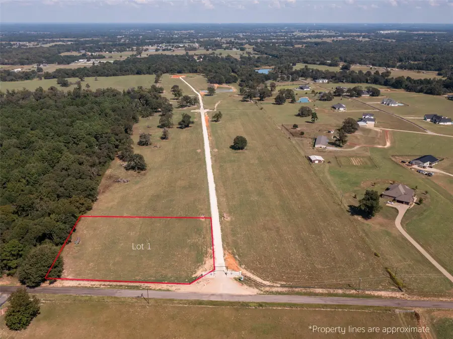 Lot 1 Cr 3605, Bullard, TX 75757 - Image #3