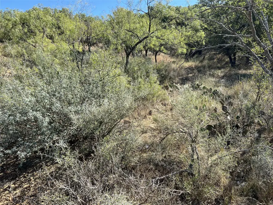 TBD Live Oak Drive, May, TX 76857 - Image #3