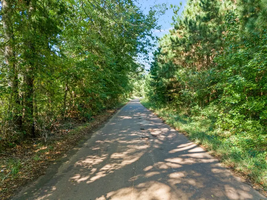 TBD Cat Road, Gilmer, TX 75644 - Image #2