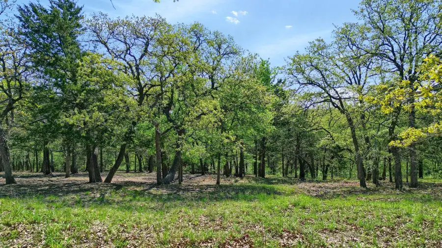 116 Oak Hills Drive, Pottsboro, TX 75076 - Image #3