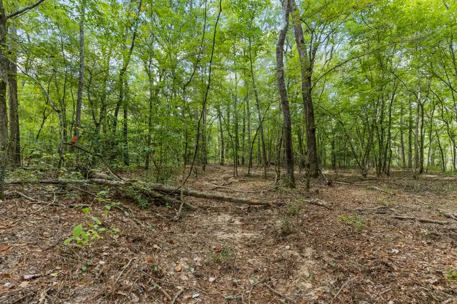 TBD County Road 2993, 28 Ac, Hughes Springs, TX 75656 - Image #2