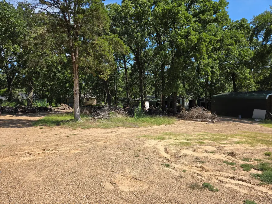 000 Redbud Road, Gun Barrel City, TX 75156 - Image #3