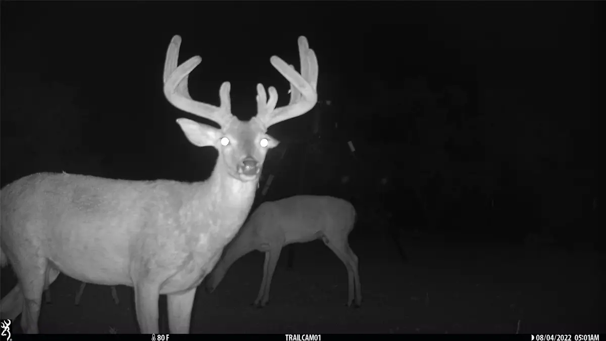 1078 County Road 498, Goldsboro, TX 79519 - Image #1