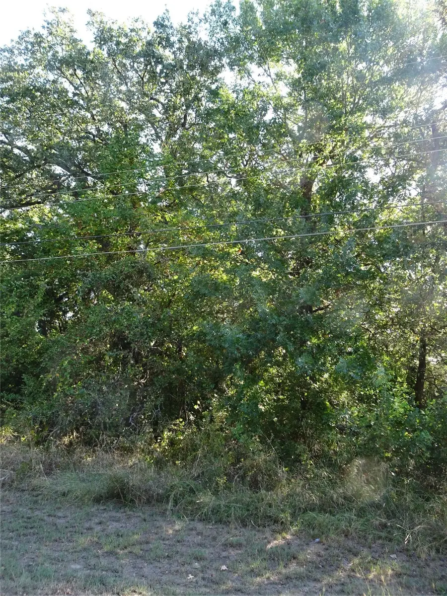 232 Softwind, Mabank, TX 75156 - #3