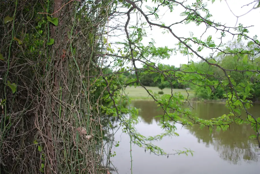 232 Terry Lane, Heath, TX 75032 - Image #3